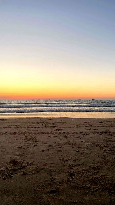 noa_zemlyanski noa_zemlyanski archive video