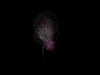 kyliejenner Altpins Profile Picture