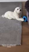 minicuta Altpins Profile Picture
