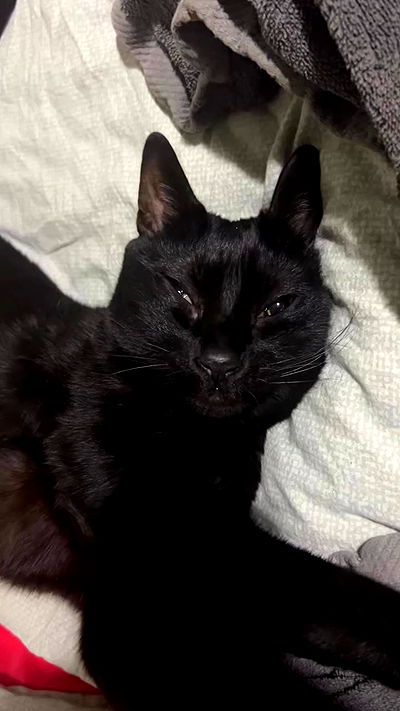 feelbetterinmysweater feelbetterinmysweater archive video