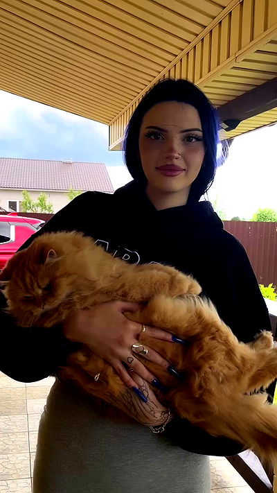 annfigma annfigma archive video