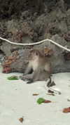 anika.wicks Altpins Profile Picture