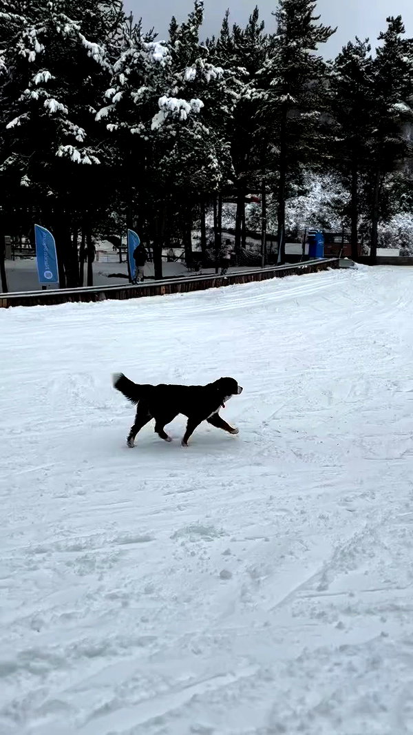 shunli__mei archive video preview