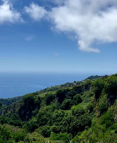 yam_adler yam_adler archive video