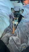 jenny.kaly Altpins Profile Picture