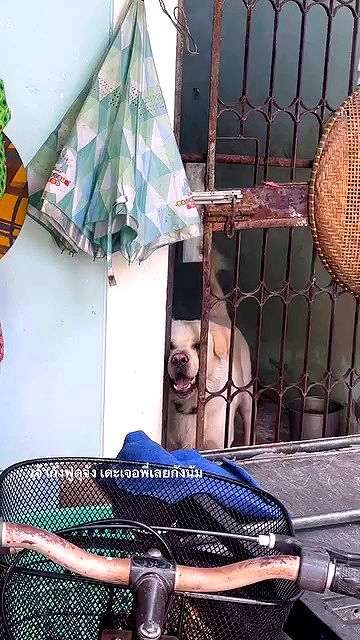 oqr0_ oqr0_ archive video