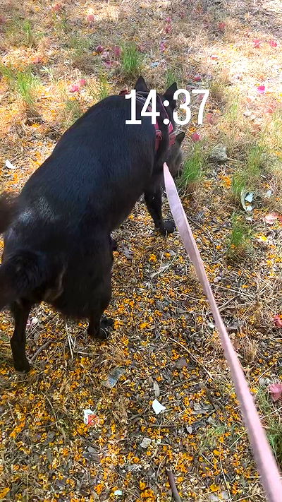 hellokittyangel666 hellokittyangel666 archive video