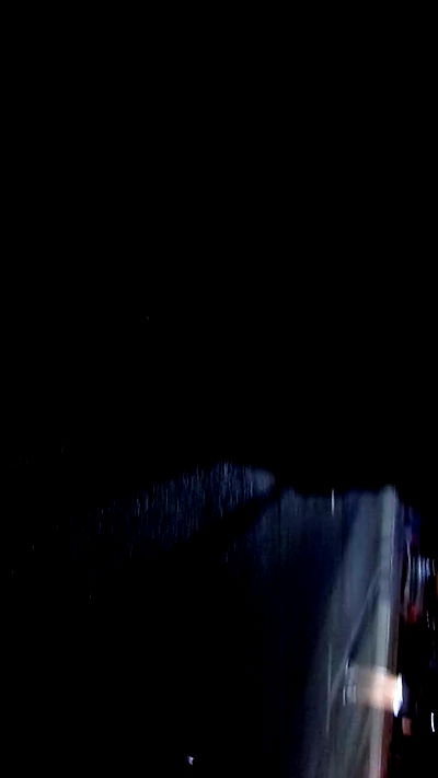 simp_for_cats_ simp_for_cats_ archive video