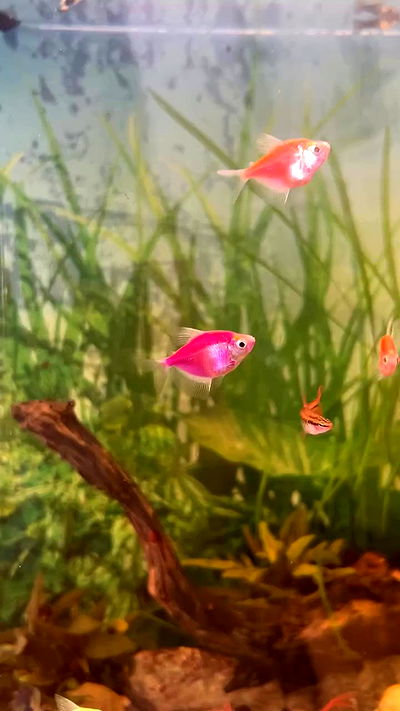 feelbetterinmysweater feelbetterinmysweater archive video