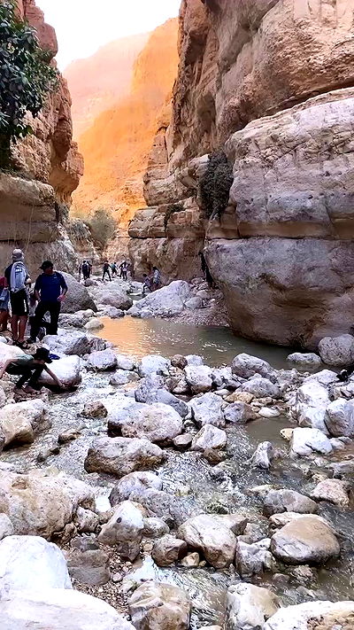 liad.arazi liad.arazi archive video