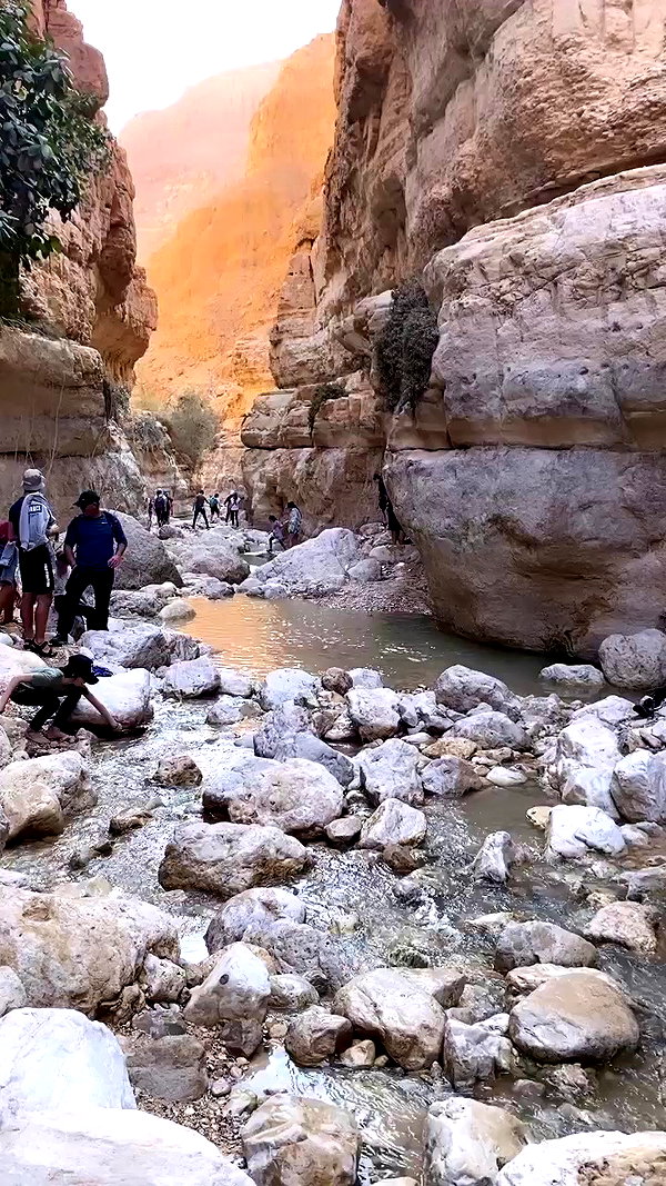 liad.arazi archive video preview