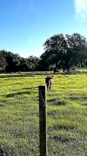 sophieraiin sophieraiin archive video