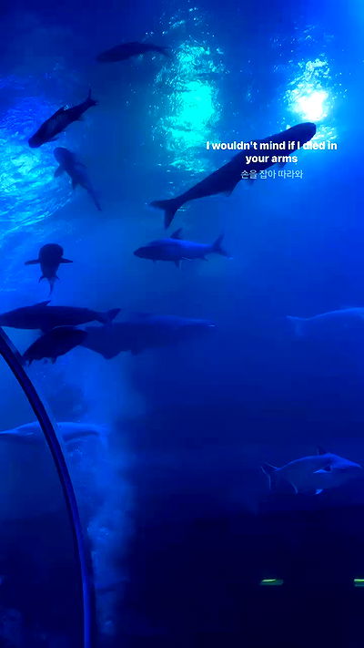 oqr0_ oqr0_ archive video