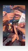 ziv_kabalo Altpins Profile Picture