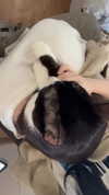 canabaputgir Altpins Profile Picture