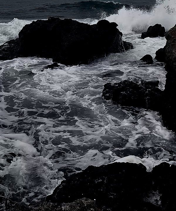xylia444 archive video preview