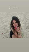 liakoresh Altpins Profile Picture