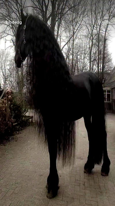 alexalizzz alexalizzz archive video