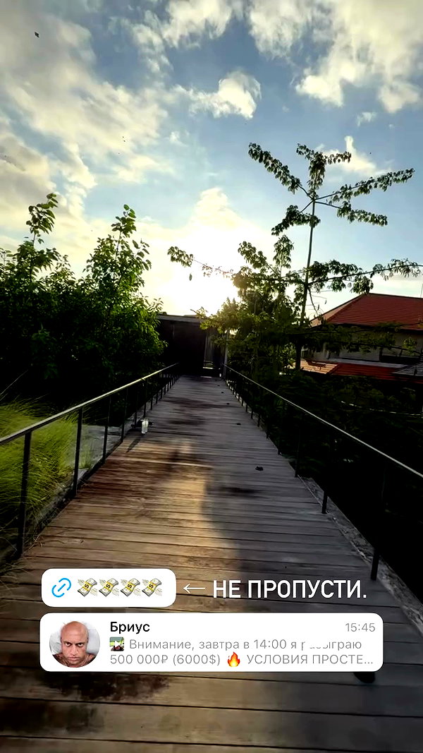 briusartem archive video preview