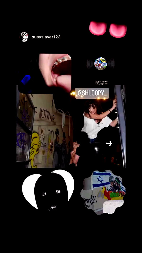 shl0opy_ archive video preview