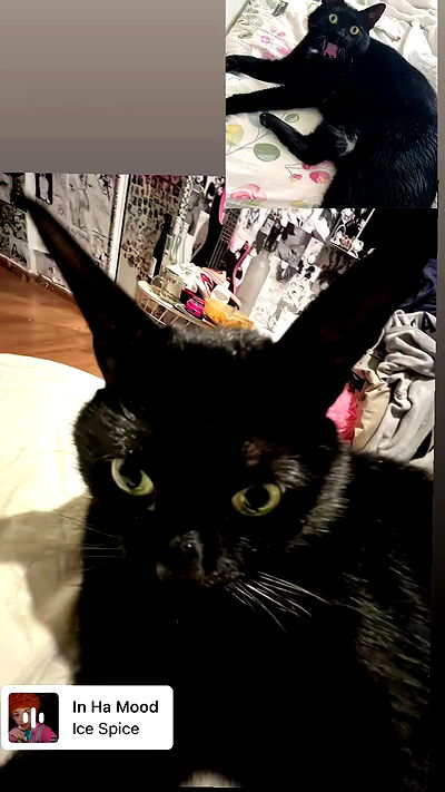 hellokittyangel666 hellokittyangel666 archive video