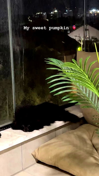 rebecka_tsadok rebecka_tsadok archive video