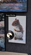 zz.eazoning Altpins Profile Picture