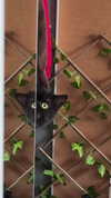 kimberlypoliakov Altpins Profile Picture