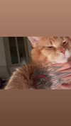 calyen Altpins Profile Picture