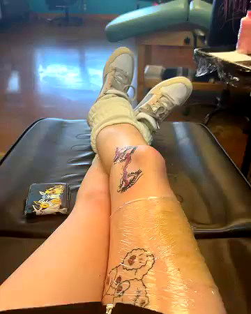 _animechika_ _animechika_ archive video