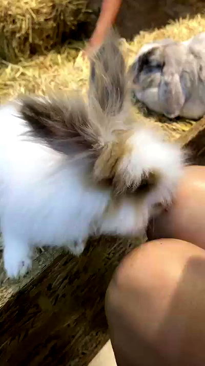 oqr0_ oqr0_ archive video