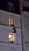 la.vica_ Altpins Profile Picture