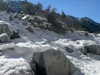alenittta Altpins Profile Picture