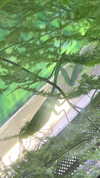 protheme Altpins Profile Picture