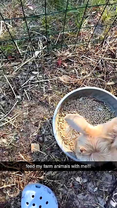 sophieraiin sophieraiin archive video