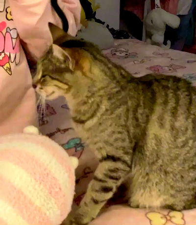 shunli__mei shunli__mei archive video