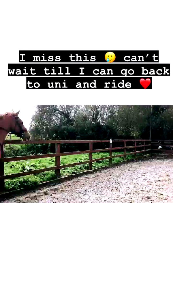 elena_stain archive video preview