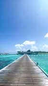 liya_manor_ Altpins Profile Picture