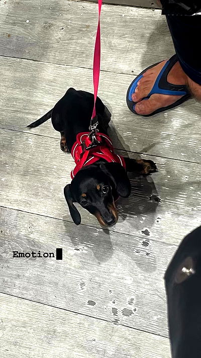 neomiconrad neomiconrad archive video