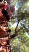 _lironatias Altpins Profile Picture