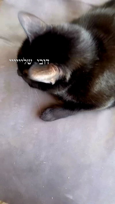 hellokittyangel666 hellokittyangel666 archive video