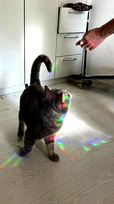 natalllluli natalllluli archive video