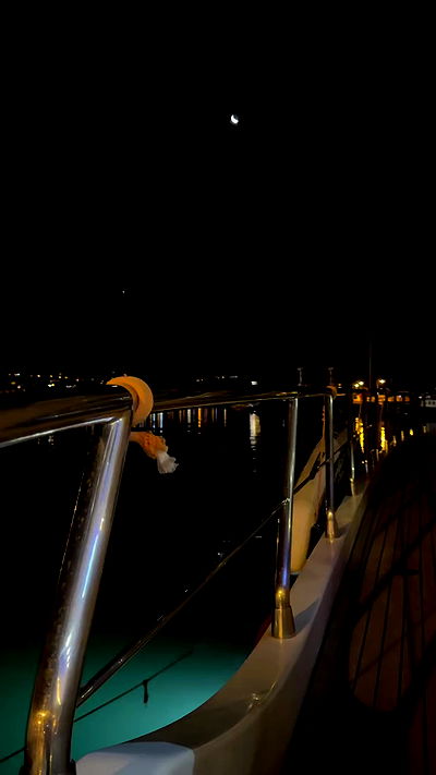 annfigma annfigma archive video