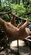 noa_mendel_ Altpins Profile Picture