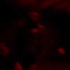 morbidlyd3ad Altpins Profile Picture