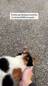 voulezjj Altpins Profile Picture