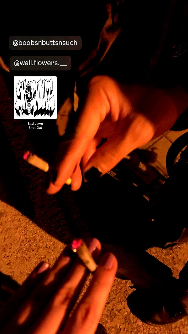 wormfood____ archive video preview