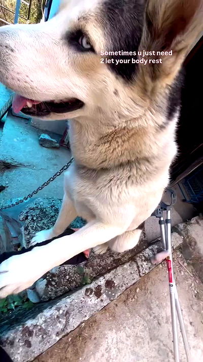 hanabellask8 hanabellask8 archive video