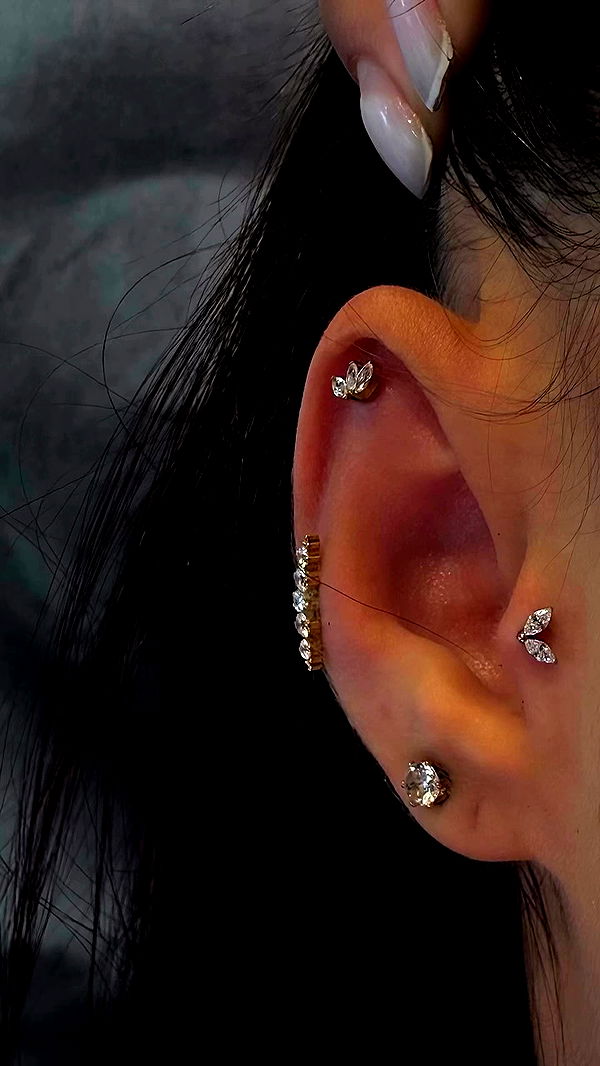 romy_ayalla_lavi archive video preview