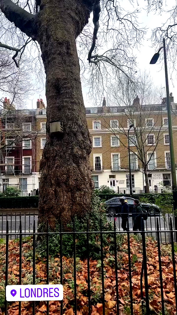 yuliett.torres archive video preview